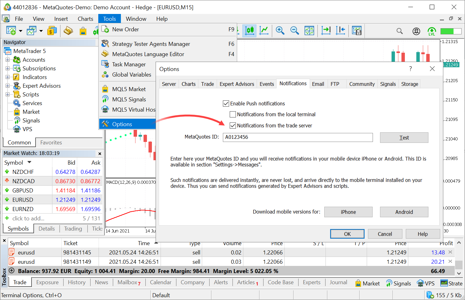 the Notifications settings in MetaTrader 5 (MT5), where push notifications can be enabled for a trading account.