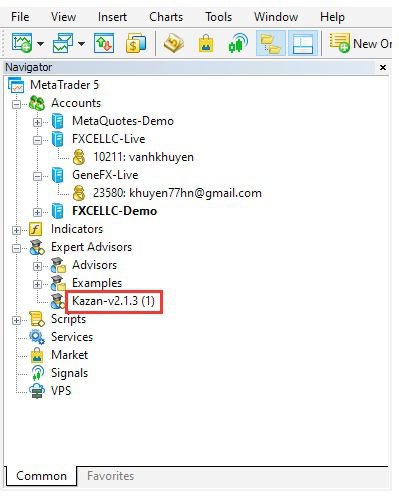 Navigator Window in MetaTrader 5 (MT5), highlighting different accounts, indicators, expert advisors, and scripts.