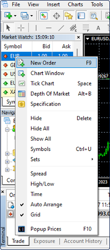 A screenshot of the MetaTrader platform showing the Market Watch window's context menu.