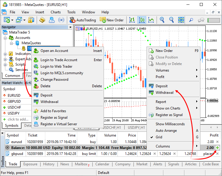 the deposit and withdrawal options in MetaTrader 5 (MT5).