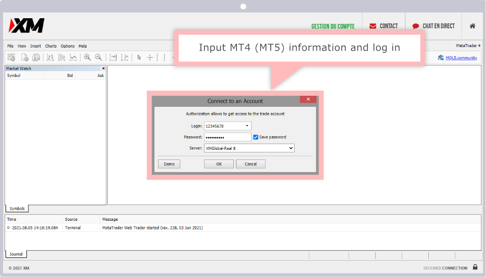 login window of MetaTrader