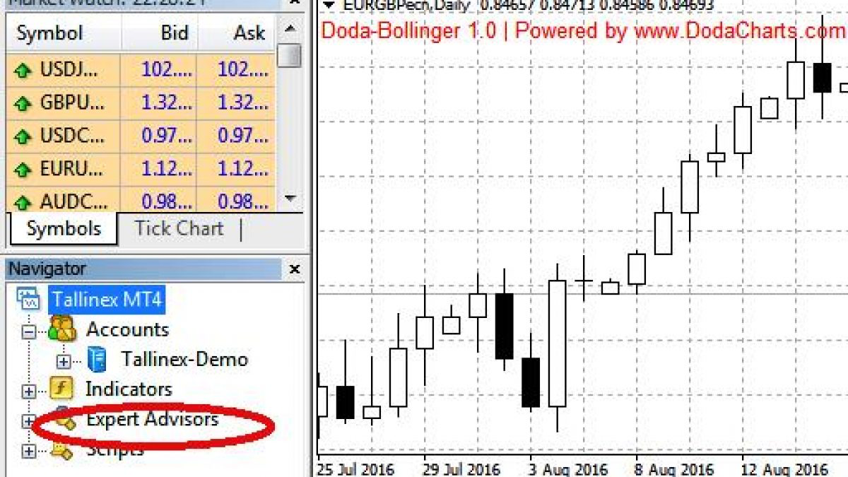 the MetaTrader 4 (MT4) platform with the Navigator window open, highlighting the Expert Advisors (EAs) section.